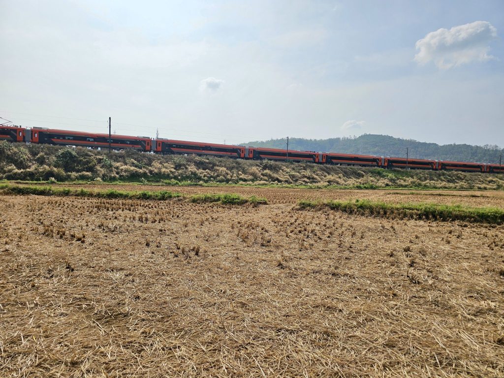 Best Trip Ideas for Travelers Who Love Local Food Markets