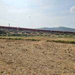 Best Trip Ideas for Travelers Who Love Local Food Markets