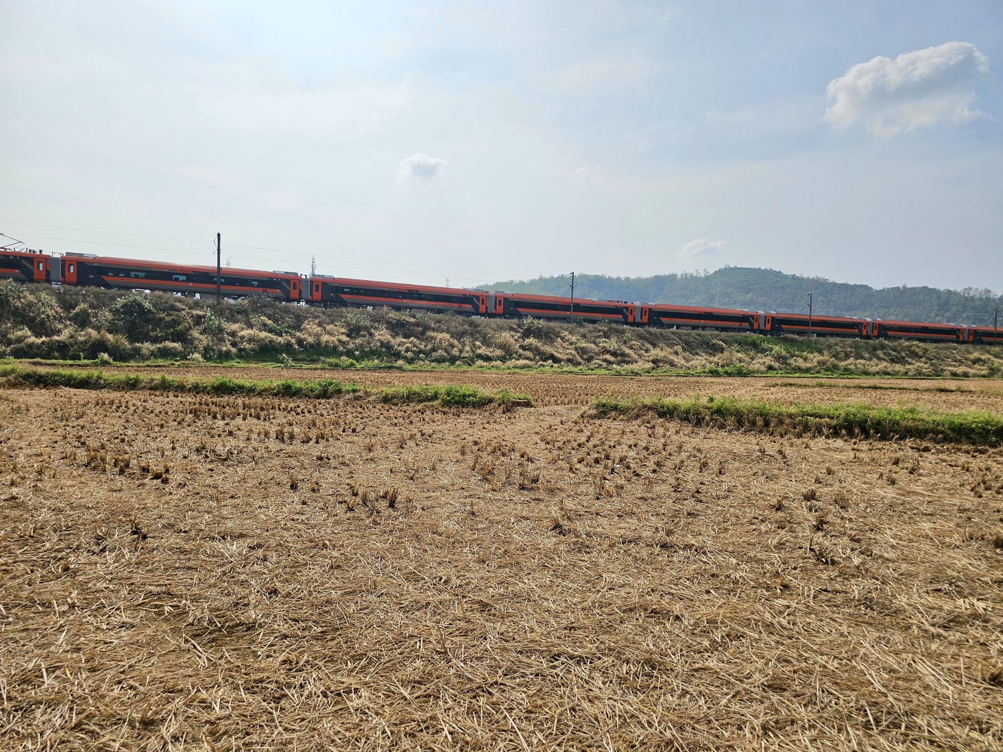 Best Trip Ideas for Travelers Who Love Local Food Markets