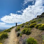 How to Handle Overplanning on a Solo Trip