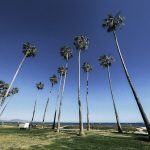 Ultimate Guide to Pacific Coast Highway Road trip