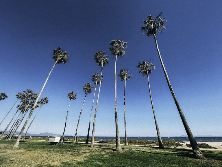 Ultimate Guide to Pacific Coast Highway Road trip