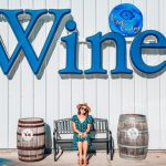 Our First Grape Stomp in Tampa Bay, FL