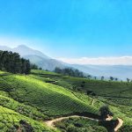 The Best Hill Stations in Kerala for Scenic Days and Cool Weather
