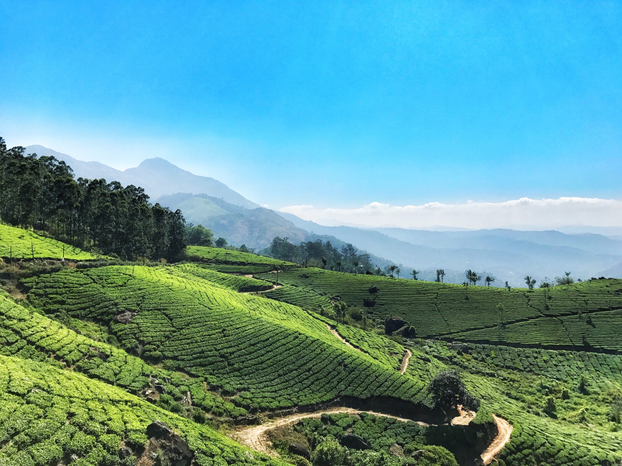 The Best Hill Stations in Kerala for Scenic Days and Cool Weather