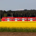 Travel Ideas for People Who Prefer Cozy Evenings to Busy Nights